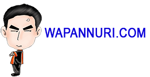 Website Wapannuri