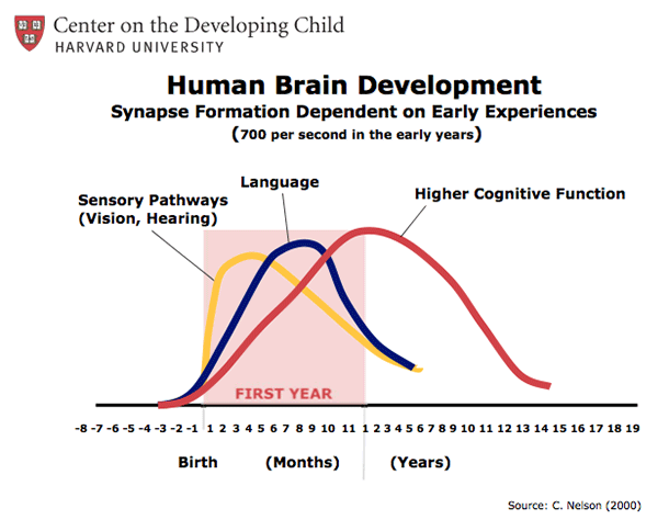 Grafik masa pertumbuhan otak anak