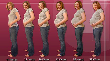 Proses Kehamilan Wanita